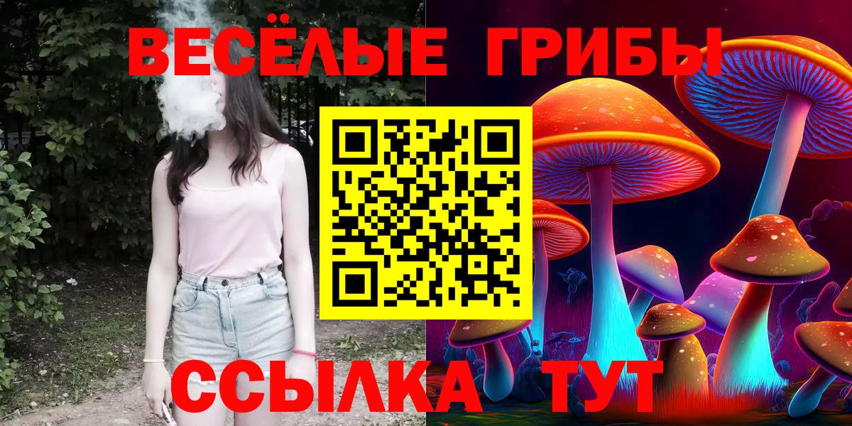 Галлюциногенные грибы прущие грибы  Вход с VPN  Галлюциногенные грибы ЛСД  Отрадный 